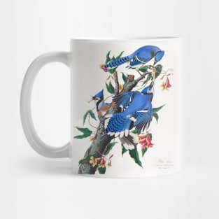 Blue Jay from Birds of America (1827) Mug